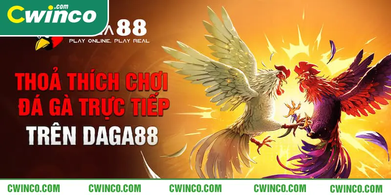 Chơi game thả ga tại nhà cái đá gà